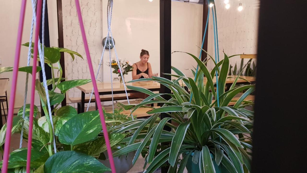 White House Hostel نها ترانج المظهر الخارجي الصورة